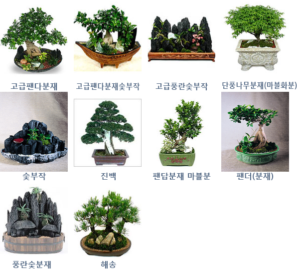 분재